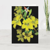 OES Karte (Vorderseite)