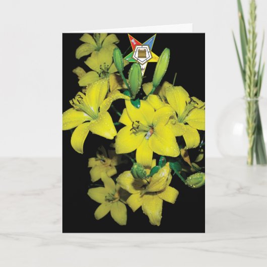 OES Karte (Vorderseite)