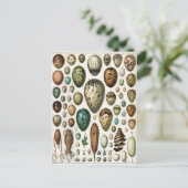 Oeufs Postkarte (Stehend Vorderseite)