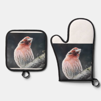 OFEN MITT UND POTINHABER - FINDEN OFENHANDSCHUH & Topflappen-Set