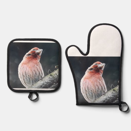 OFEN MITT UND POTINHABER - FINDEN OFENHANDSCHUH & Topflappen-Set (Vorderseite)