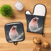 OFEN MITT UND POTINHABER - FINDEN OFENHANDSCHUH & Topflappen-Set (Oben Unten)