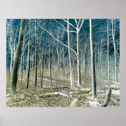 Off the Path version 1 Poster (Vorne)