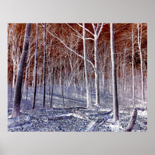 Off the Path version 2 Poster (Vorne)