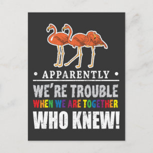 Offenbar sind wir Trouble Flamingo Zoo Tier Postkarte