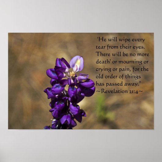 Offenbarung 21:4 poster (Vorne)