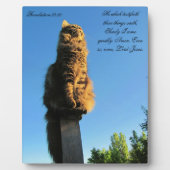 Offenbarung 22:20 Katze Gewartet für Jesus Fotoplatte (Vorderseite)