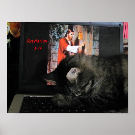 Offenbarung 3:20 mit betender Katze Poster (Vorne)