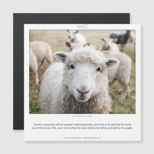 Offenbarung 3:5 GODS VERSPRECHEN SCRIPIX-Magnetkar Magneteinladung (Vorne/Hinten)