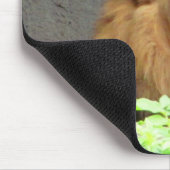 Offenbarung 5:5 mit männlicher Löwe kein Baby mehr Mousepad (Ecke)