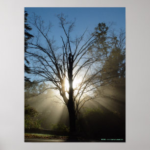 Offenbarungs-Baum-Plakat Poster