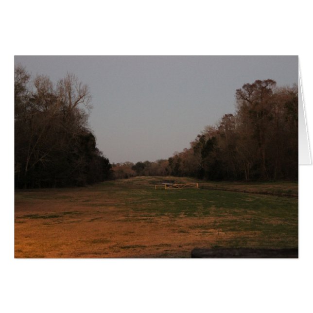 Offener Bereich (Vorderseite (Horizontal))