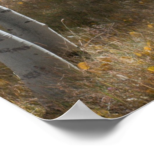 Offenes Holz Poster (Ecke)