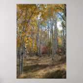 Offenes Holz Poster (Vorne)