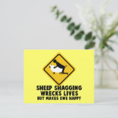 Offensive Schafe Postkarte (Stehend Vorderseite)