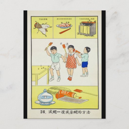 Öffentliche Gesundheit, Kampffliegen, Taiwan 1959 Postkarte (Vorderseite)