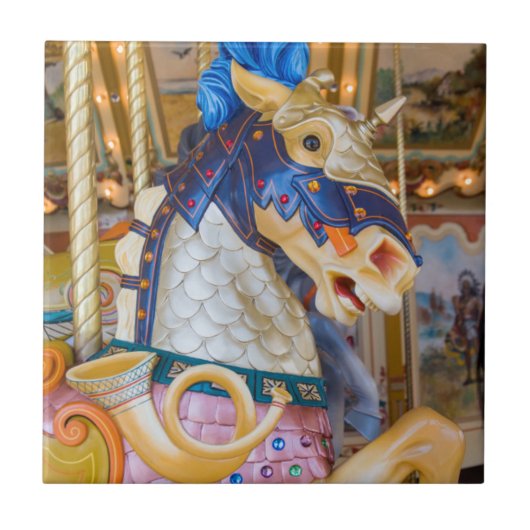 Öffentliches Museum für große Rapiden Fliese (Vorderseite)