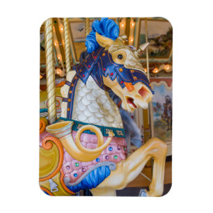 Öffentliches Museum für große Rapiden Magnet