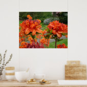 OFFICE ART PRINTS AZALEAS 25 Orange Azalea Garden Poster (Küche)