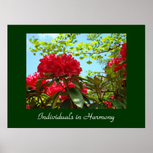 Office Business Office Artwork Red Rhododendrons Poster