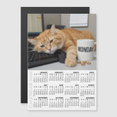 Office Cat Fridge Calendar 2026, Monday Motivation Magnetkarte (Vorne/Hinten)