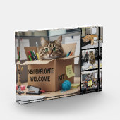 Office Fun Cats Photo, City, Business Cat Fotoblock (Links)