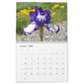 OFFICE GIFT CALENDAR Iris Blume Teamwork! Kalender (Jan 2027)