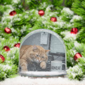 Office Monday, Fun Cats meme Snow Globe Schneekugeln (Weihnachten)
