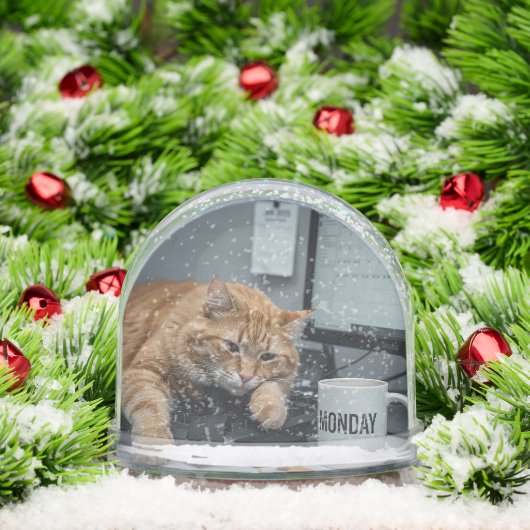 Office Monday, Fun Cats meme Snow Globe Schneekugeln (Weihnachten)