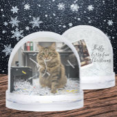 Office Reports Cat, Fun Cats meme Snow Globe Schneekugeln