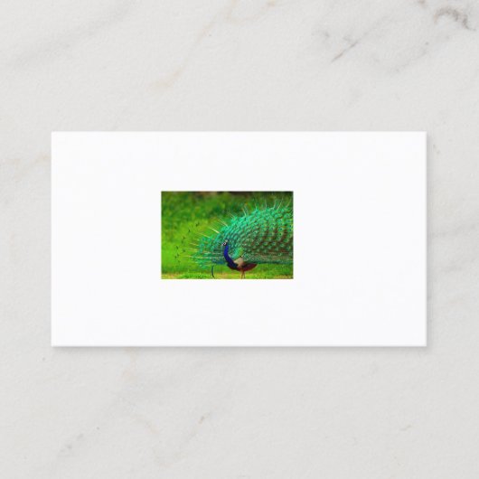 Office & School > Visitenkarten Visitenkarte (Vorderseite)