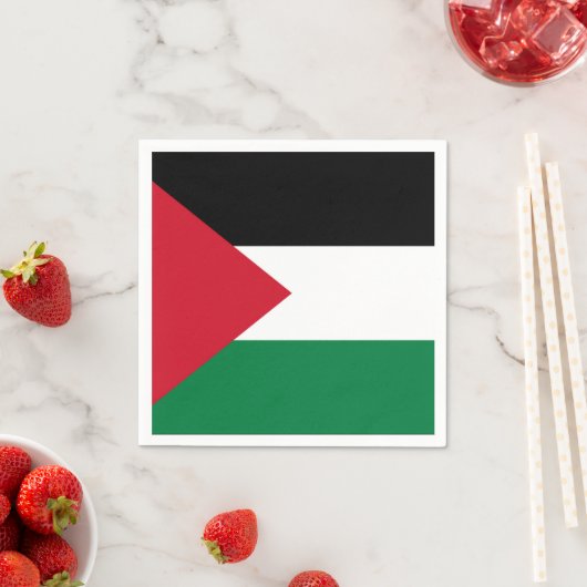 offiziell Staat der palästinensischen Landesflagge Serviette (Beispiel)