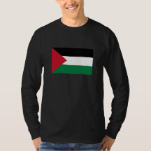 offiziell Staat der palästinensischen Landesflagge