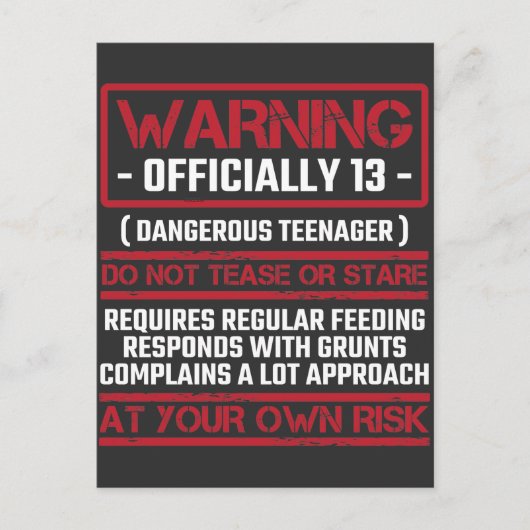 Offiziell Teenager zum 13. Geburtstag 13-jähriges  Postkarte (Vorderseite)