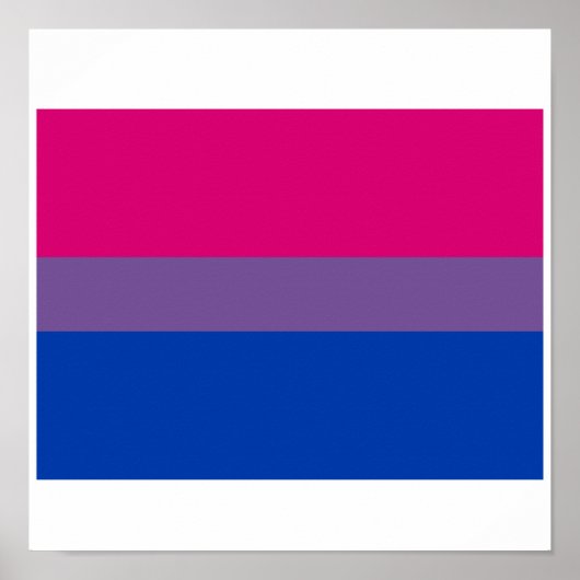 OFFIZIELLE BISEXUELLE PRIDE-FLAGGE POSTER (Vorne)