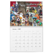 Offizielle Boxer-Hunde-Lebensdauer - 15-monatiger  Kalender (Jan 2027)