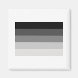 OFFIZIELLE STRAIGHT PRIDE-FLAGGE MAGNET
