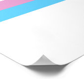 OFFIZIELLE TRANSGENDER-PRAID-FLAGGE POSTER (Ecke)