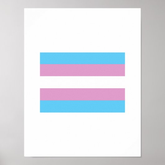 OFFIZIELLE TRANSGENDER-PRAID-FLAGGE POSTER (Vorne)