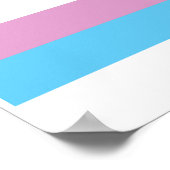 OFFIZIELLE TRANSGENDER-STOLZFALTE POSTER (Ecke)