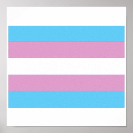 OFFIZIELLE TRANSGENDER-STOLZFALTE POSTER (Vorne)