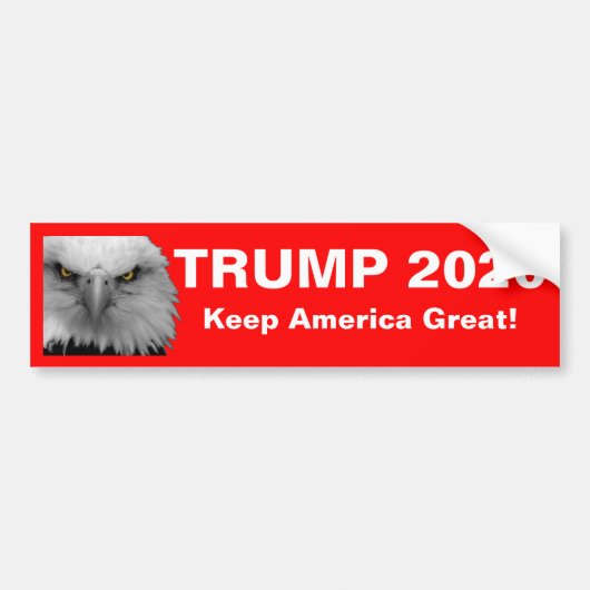 Offizieller Autoaufkleber des Trumpf-2020 (Vorne)