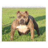 Offizieller FELSEN-STADT-HUNDEHÜTTEN Kalender (Titelbild)