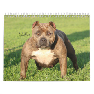 Offizieller FELSEN-STADT-HUNDEHÜTTEN Kalender
