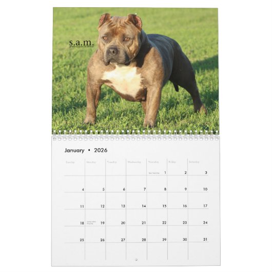 Offizieller FELSEN-STADT-HUNDEHÜTTEN Kalender (Jan 2026)