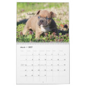 Offizieller FELSEN-STADT-HUNDEHÜTTEN Kalender (Mär 2027)