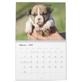 Offizieller FELSEN-STADT-HUNDEHÜTTEN Kalender (Feb 2027)