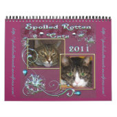 Offizieller Kalender Rottenkatzen 2011 (Titelbild)