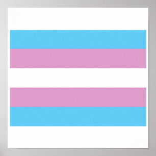 OFFIZIELLER TRANSGENDER PRIDE FLAG POSTER