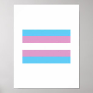 OFFIZIELLER TRANSGENDER PRIDE FLAG POSTER
